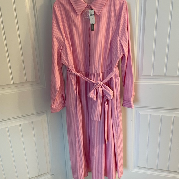 Pink Striped Dress - Picture 1 of 12